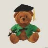 Discount π Personalized Graduation Stuffed Bear - Green π₯ 1 Discount π Personalized Graduation Stuffed Bear - Green π₯ -BigMouth Inc Shop 38 804