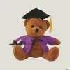Budget โญ Personalized Graduation Stuffed Bear with Purple ๐ Shirt ๐งจ 1 Budget โญ Personalized Graduation Stuffed Bear with Purple ๐ Shirt ๐งจ -BigMouth Inc Shop 38 806