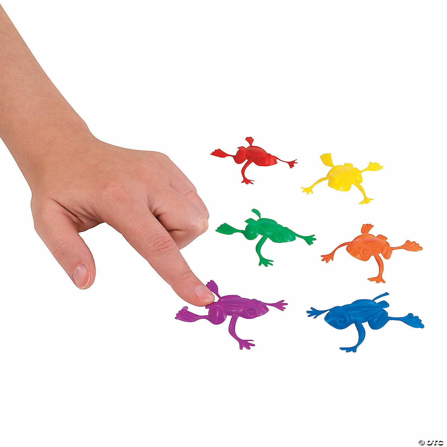 Budget ๐ Jumping Frogs ๐คฉ 4 Budget ๐ Jumping Frogs ๐คฉ - Image 2