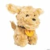 Outlet ๐ Mini Gold Medalist Stuffed Labradoodles - 12 Pc. โ 1 Outlet ๐ Mini Gold Medalist Stuffed Labradoodles - 12 Pc. โ -BigMouth Inc Shop mini gold medalist stuffed labradoodles 12 pc 13940246