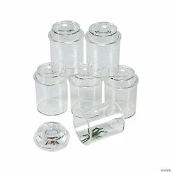 Outlet 💯 See-Through Bug Jars - 10 Pc. 🧨
