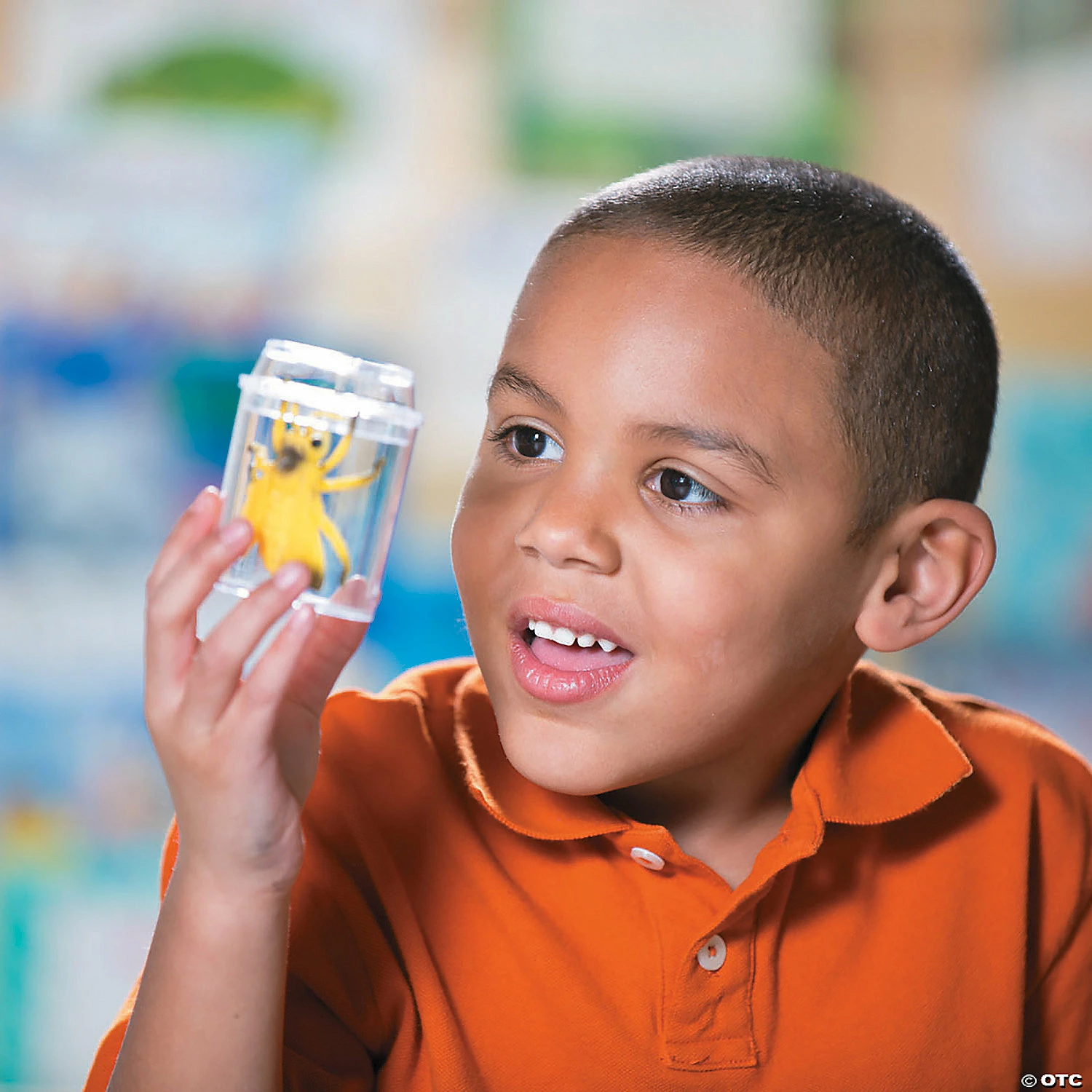 Outlet ๐ฏ See-Through Bug Jars - 10 Pc. ๐งจ 4 Outlet ๐ฏ See-Through Bug Jars - 10 Pc. ๐งจ - Image 2